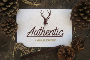 Authentic Script Font Review for Natural Branding