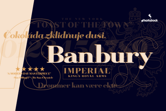 Banbury Font Review: Bold Neo Classical Typography