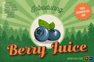 Berry Juice: The Vintage Display Font for Bold Branding