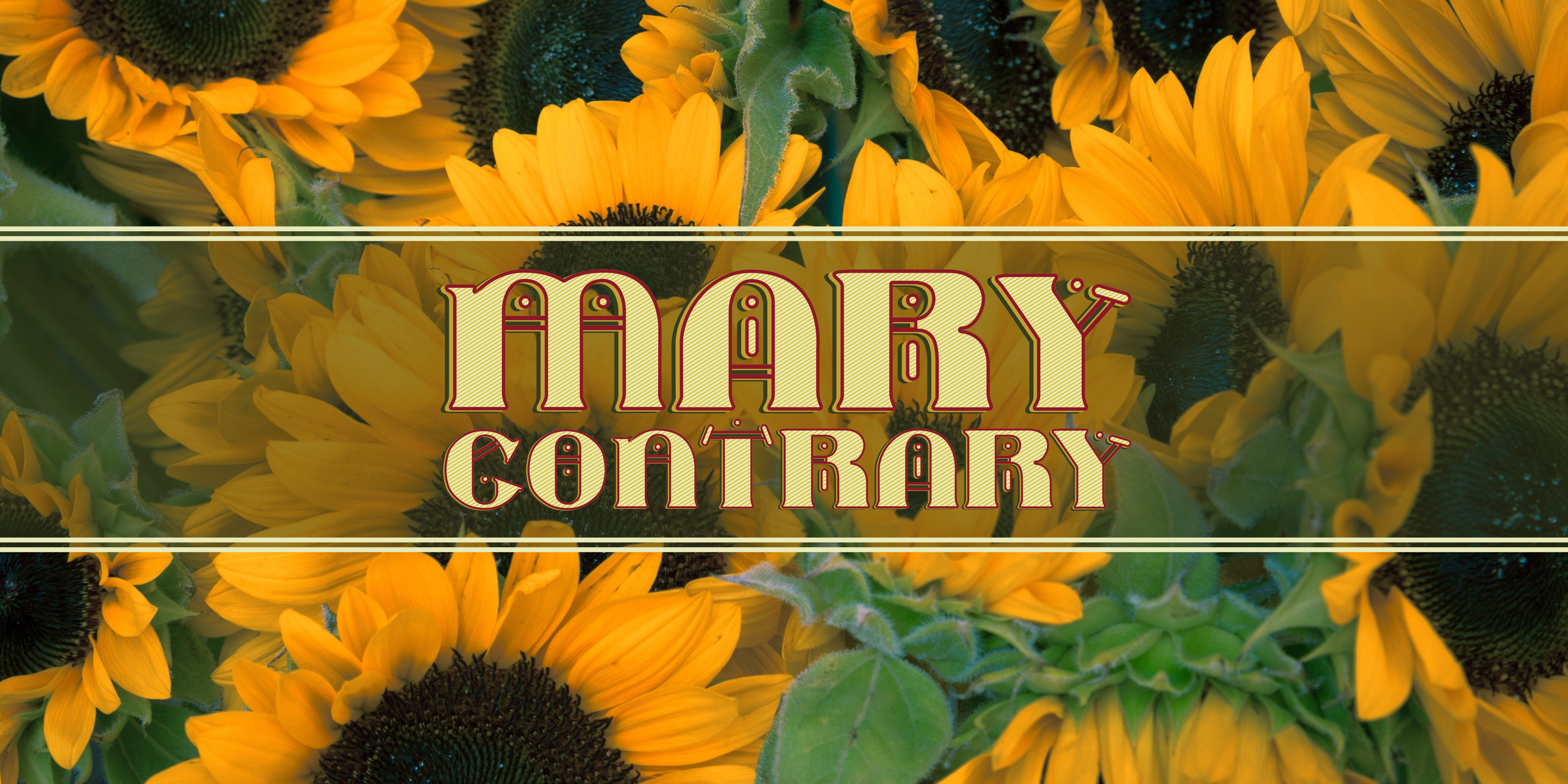 Designing with Mary Contrary: A Fun Display Font for Branding