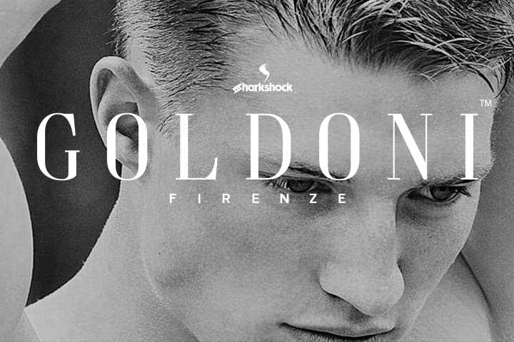 Goldoni: A Premium Serif Typeface for Elegant Web Design