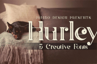 Hurley Font Review: A Flourished Display Typeface for Branding