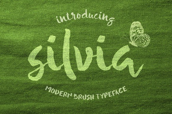 Silvia: The Painterly Script Handwritten Font for Makers